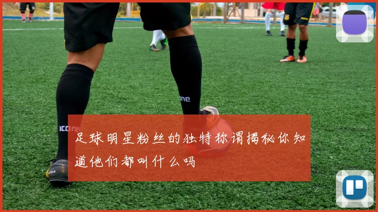 足球明星粉丝的独特称谓揭秘你知道他们都叫什么吗
